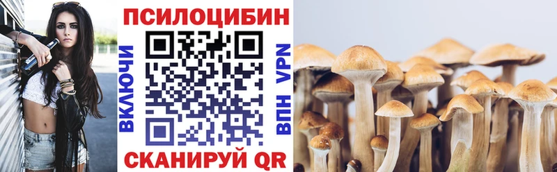 блэк спрут tor  Дубна  Псилоцибиновые грибы Magic Shrooms 